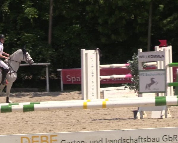 Pfingssturnier Bochum-Nord 2018