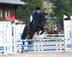 jumper Laro CH (Swiss Warmblood, 2011, from Landjuweel St Hubert)