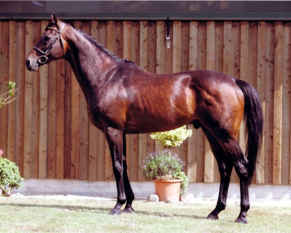 stallion Rio Grande xx (Thoroughbred, 1990, from Windwurf xx)