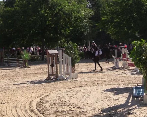 Pfingssturnier Bochum-Nord 2018