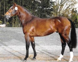 stallion Lennon (Holsteiner, 1991, from Lord)