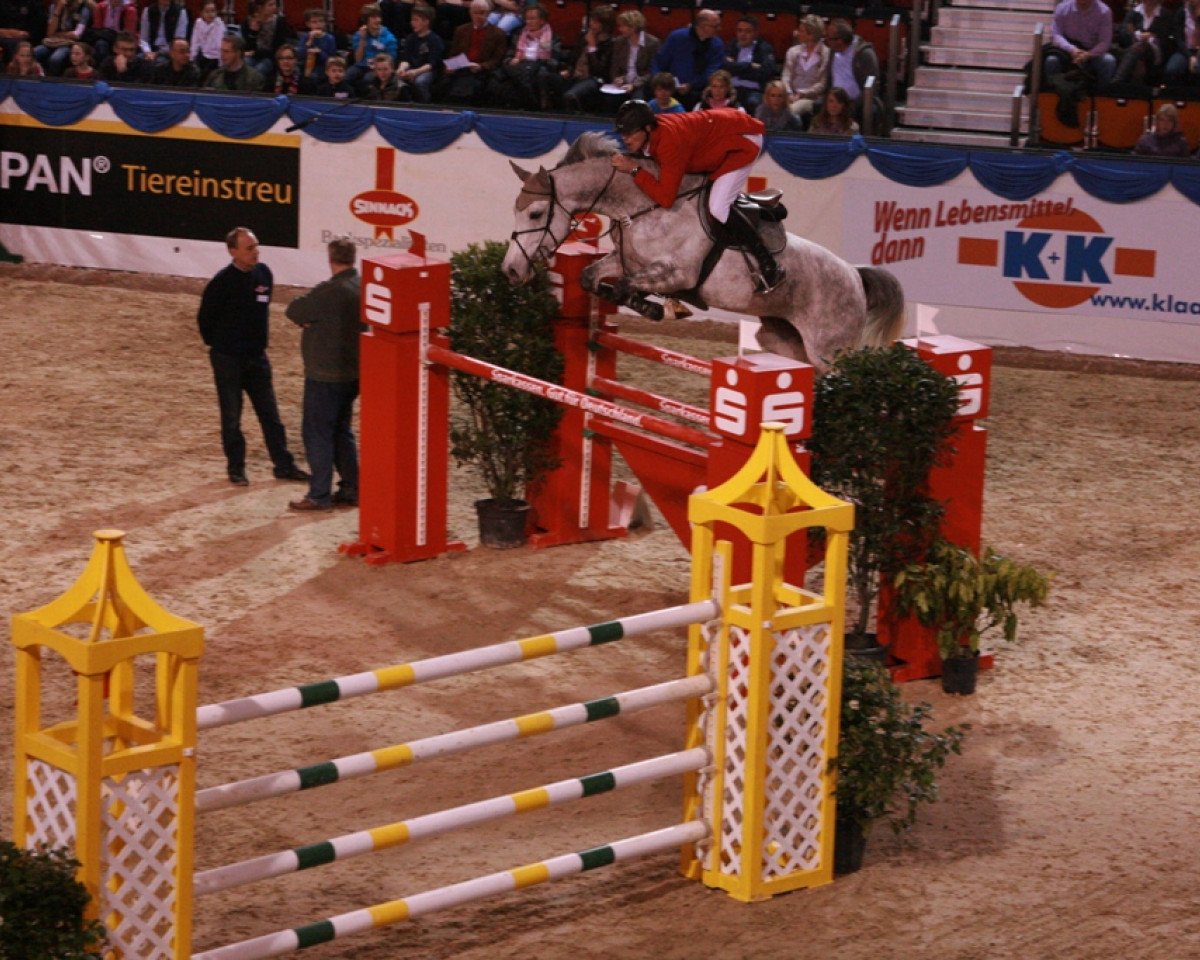 jumper Darling (Westphalian, 2004, from Cornet Obolensky)
