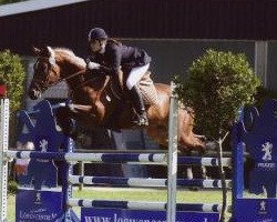 jumper Little Joe (Hanoverian, 2002, from Latimer)