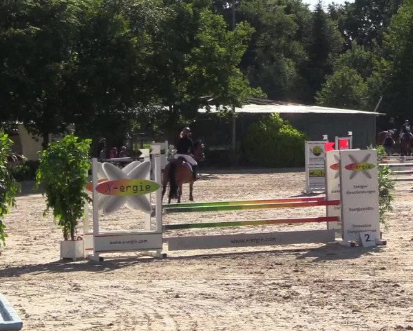 Pfingssturnier Bochum-Nord 2018