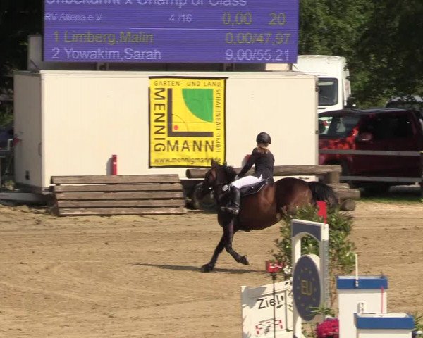 Reitturnier Iserlohn-Kalthof 2018