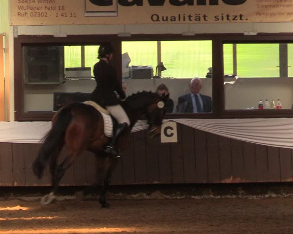 Pfingssturnier Bochum-Nord 2018