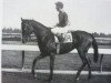broodmare Castle Forbes xx (Thoroughbred, 1961, from Tulyar xx)