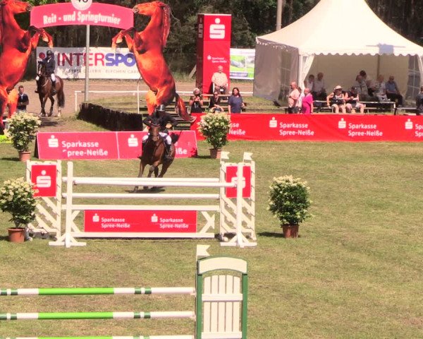 Reitturnier Cottbus-Sielow 2018