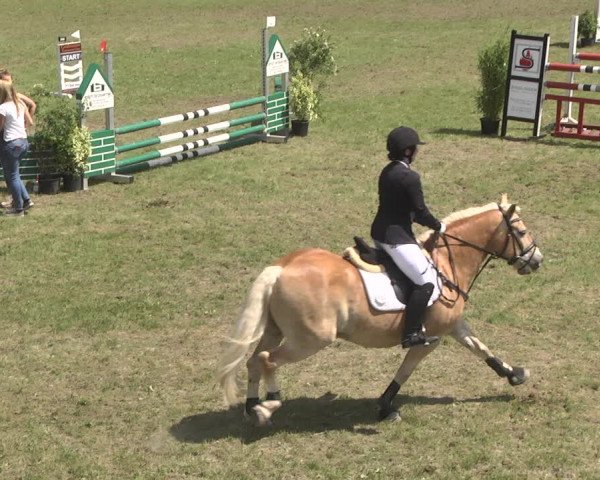 Reitturnier Jettingen 2018