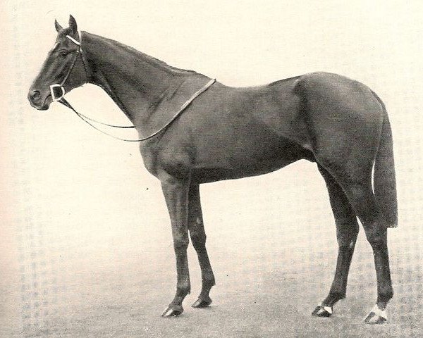 stallion Epigram xx (Thoroughbred, 1933, from Son In Law xx)