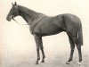 stallion Epigram xx (Thoroughbred, 1933, from Son In Law xx)