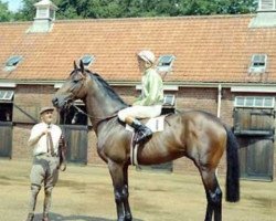 stallion Caliban xx (Thoroughbred, 1966, from Ragusa xx)