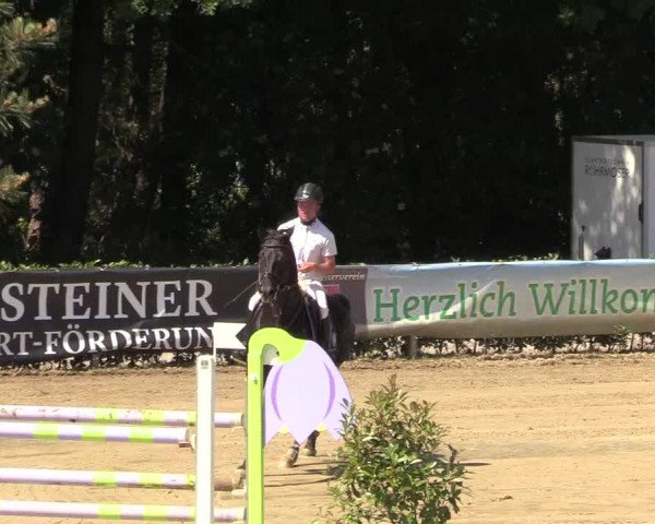 Reitturnier Iserlohn-Kalthof 2018