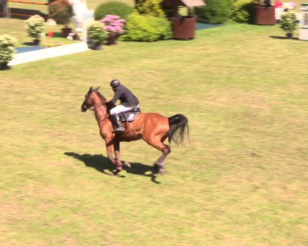 Reitturnier Cottbus-Sielow 2018