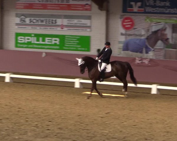 Pfingstturnier Borken 2018