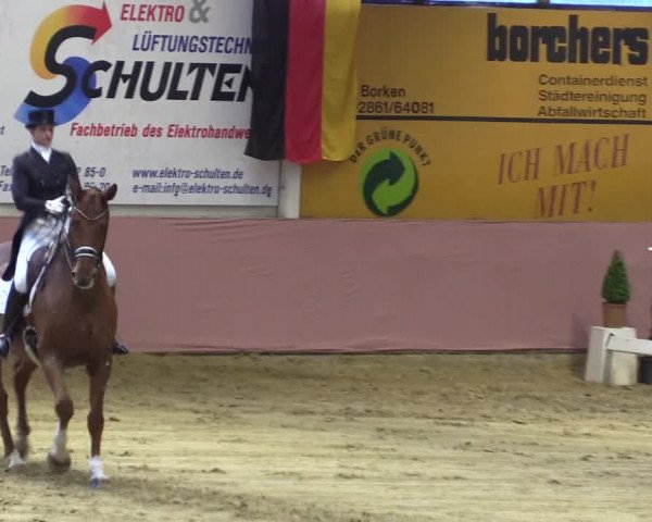 Pfingstturnier Borken 2018