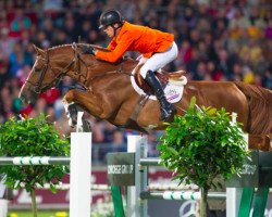 stallion Emerald van 't Ruytershof (Belgian Warmblood, 2004, from Diamant de Semilly)