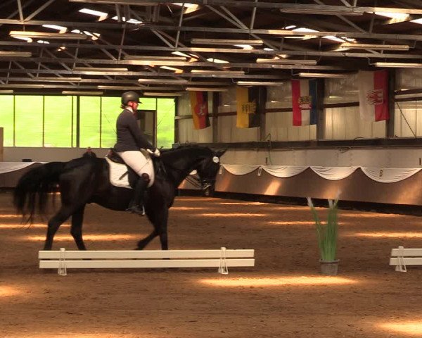 Pfingssturnier Bochum-Nord 2018