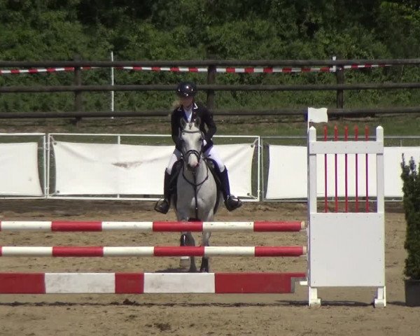 Reitturnier Frechen-Grefrath - Sonnenhof 2018