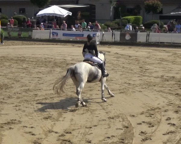 Reitturnier Frechen-Grefrath - Sonnenhof 2018