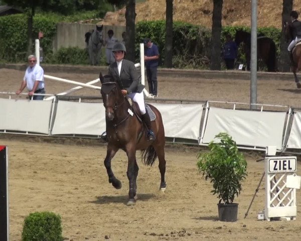 Reitturnier Frechen-Grefrath - Sonnenhof 2018