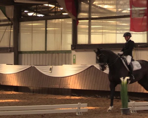 Pfingssturnier Bochum-Nord 2018
