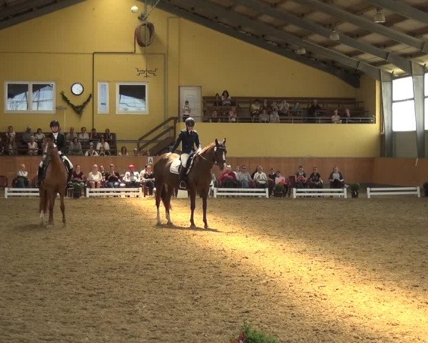 Reitturnier Frechen-Grefrath - Sonnenhof 2018
