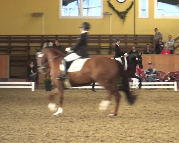 Reitturnier Frechen-Grefrath - Sonnenhof 2018