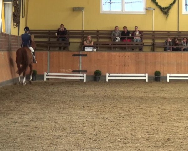 Reitturnier Frechen-Grefrath - Sonnenhof 2018