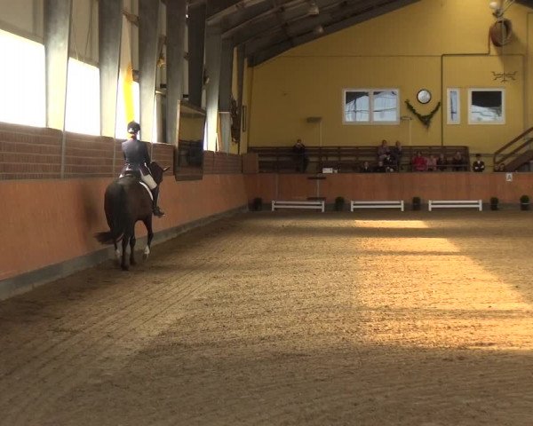 Reitturnier Frechen-Grefrath - Sonnenhof 2018