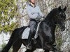 dressage horse Sir Benjamin 3 (Württemberger, 2009, from Sir Donnerhall I)