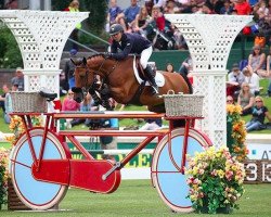 Springpferd Gazelle (Belgisches Warmblut, 2006, von Kashmir van't Schuttershof)