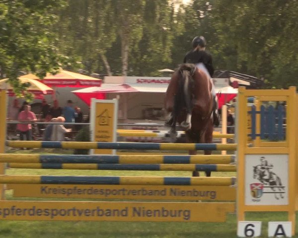 Reitturnier Kreuzkrug 2018