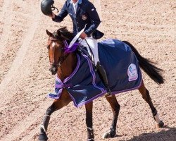 Springpferd H & M Christian K (KWPN (Niederländisches Warmblut), 2007, von Namelus R)