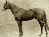Pferd Pilade xx (Englisches Vollblut, 1930, von Captain Cuttle xx)
