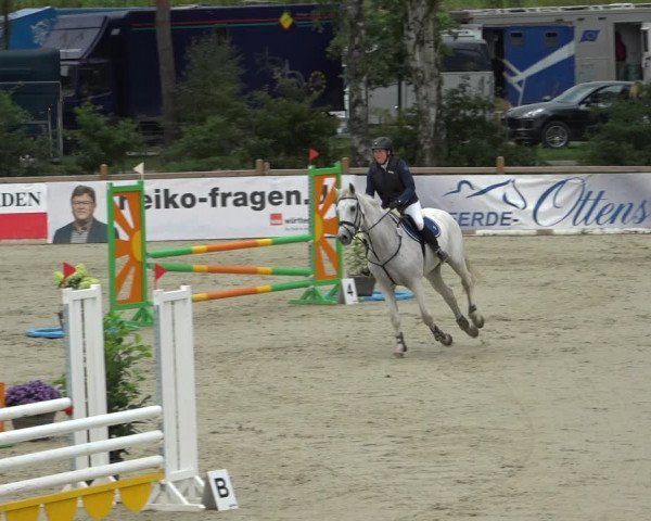 Reitturnier Westergellersen 2021