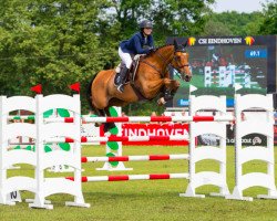 jumper Cos I Can (Irish Sport Horse, 2003, from Olympic Lux)