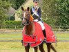 dressage horse Waroona (Hanoverian, 2006, from Worldly I)