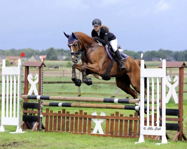 dressage horse Extasy W (Hanoverian, 2011, from Edward 28)