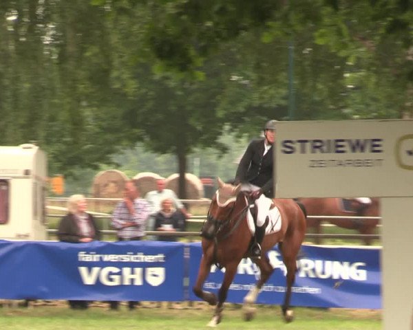 Reitturnier Kreuzkrug 2018