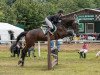 dressage horse Everest 39 (Hungarian Warmblood, 2008, from Chasseur II)