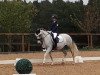 dressage horse Virginia (German Riding Pony, 2007, from Vincent)