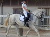 dressage horse Canissa - Pluto Darina (Lipizzaner, 2007, from Pluto Darina)