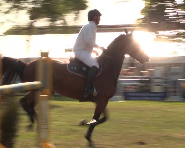 Reitturnier Kreuzkrug 2018
