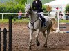 jumper Captain Jack 31 (German Sport Horse, 2006, from Class de Luxe 2)