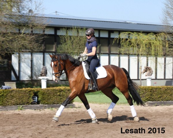 dressage horse Lesath (Hanoverian, 2009, from Legat)