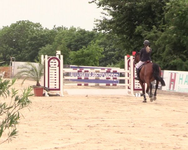 Reitturnier Oberfrauendorf 2018