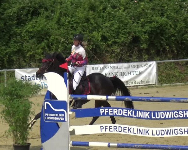 Reitturnier Ladenburg 2018