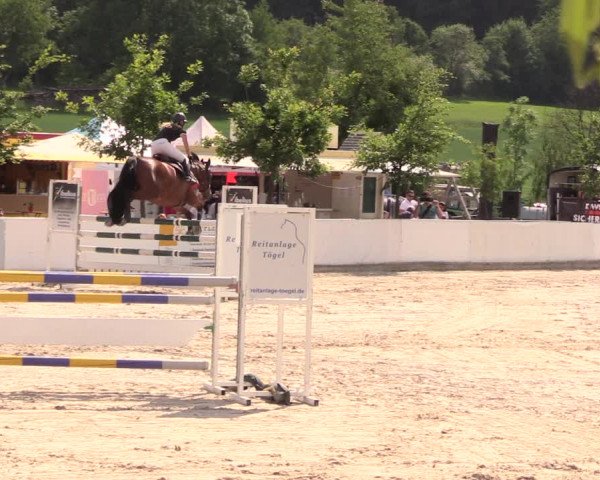 Reitturnier Oberfrauendorf 2018