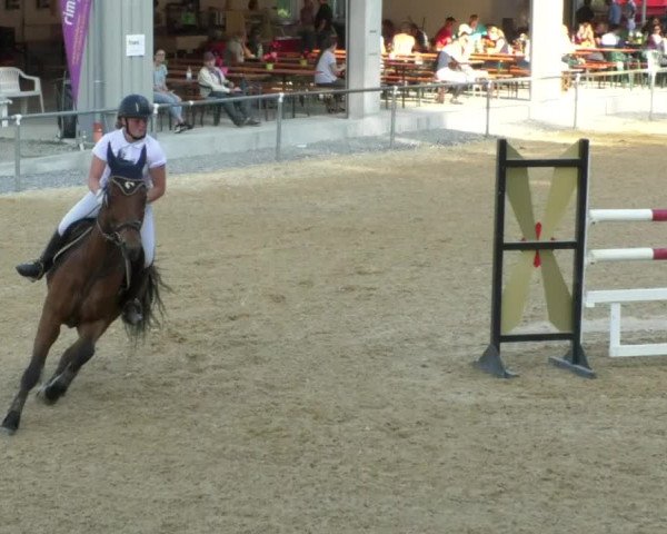 Reitturnier Bad Schussenried 2018